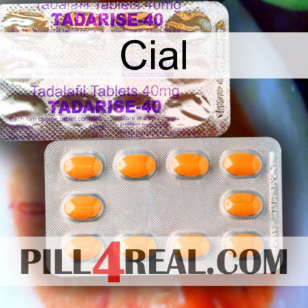 Cial new12